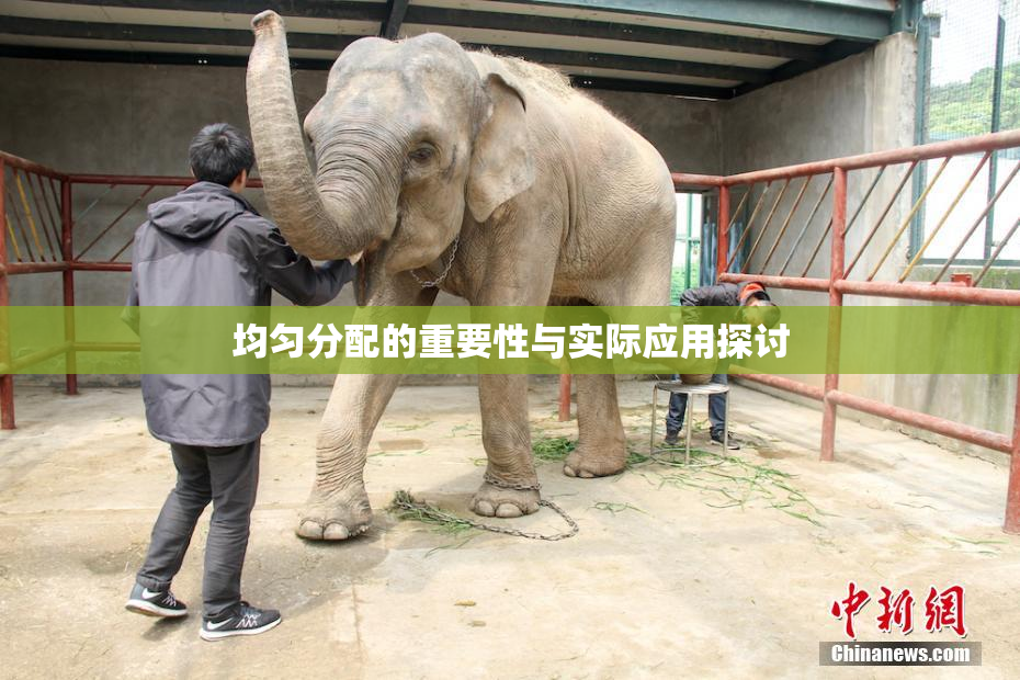 均匀分配的重要性与实际应用探讨