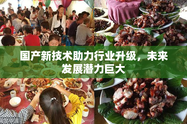 国产新技术助力行业升级，未来发展潜力巨大
