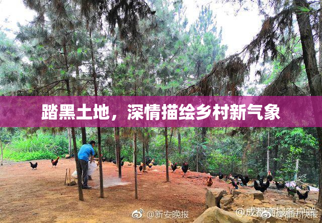 踏黑土地，深情描绘乡村新气象