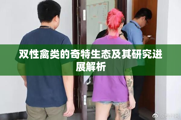 双性禽类的奇特生态及其研究进展解析