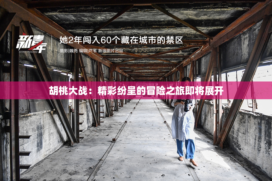 胡桃大战：精彩纷呈的冒险之旅即将展开