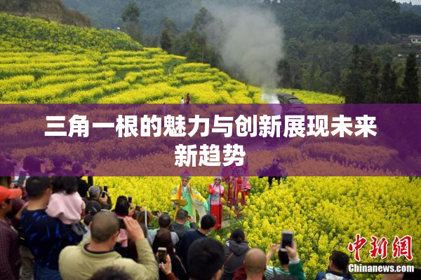 三角一根的魅力与创新展现未来新趋势