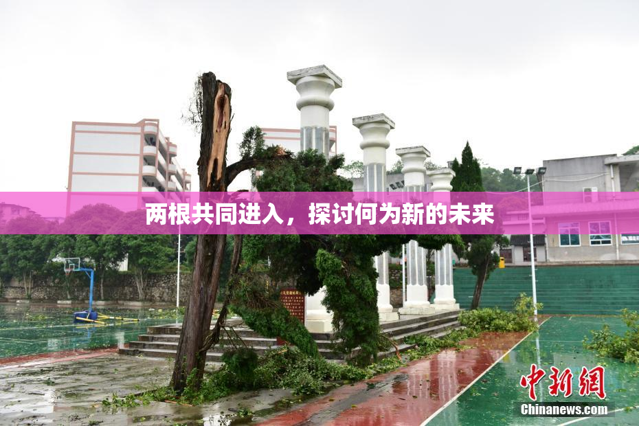 两根共同进入，探讨何为新的未来