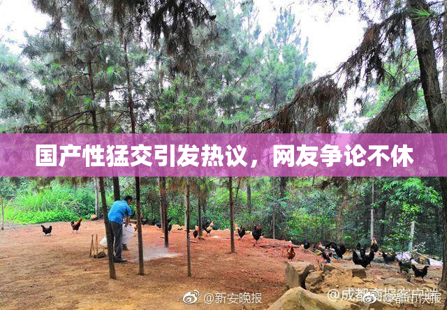 国产性猛交引发热议，网友争论不休