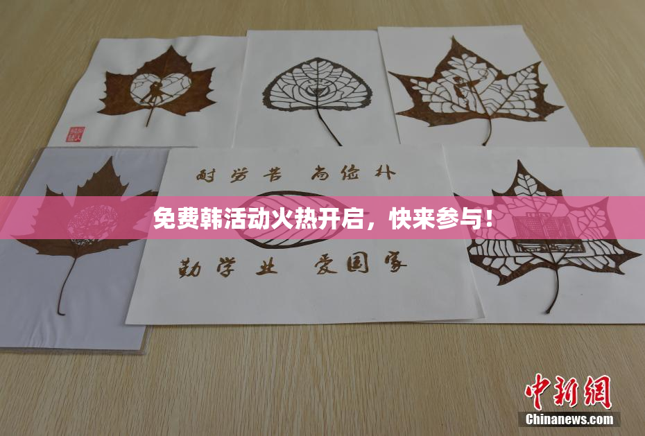 免费韩活动火热开启，快来参与！