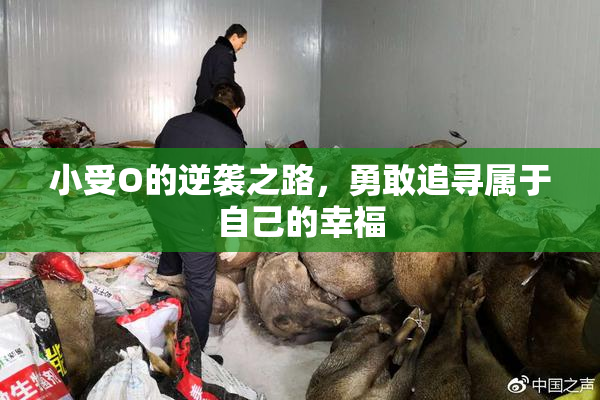 小受O的逆袭之路，勇敢追寻属于自己的幸福