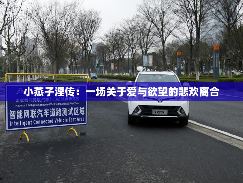 小燕子淫传：一场关于爱与欲望的悲欢离合