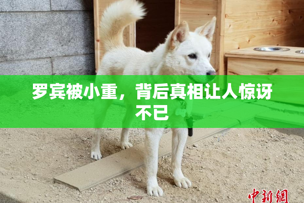 罗宾被小重，背后真相让人惊讶不已