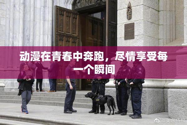 动漫在青春中奔跑，尽情享受每一个瞬间
