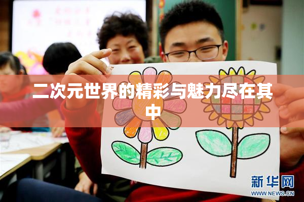 二次元世界的精彩与魅力尽在其中