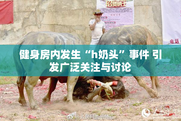 健身房内发生“h奶头”事件 引发广泛关注与讨论