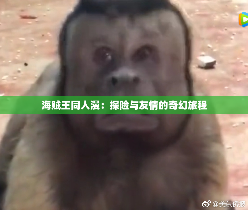 海贼王同人漫：探险与友情的奇幻旅程