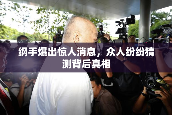 纲手爆出惊人消息，众人纷纷猜测背后真相