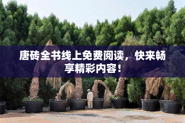 唐砖全书线上免费阅读，快来畅享精彩内容！