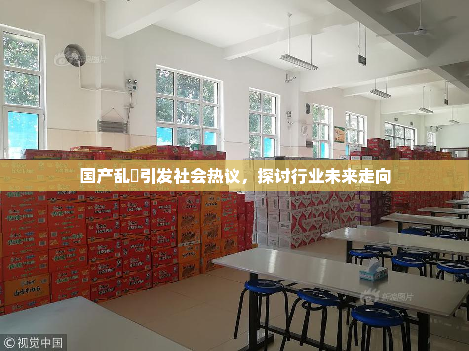 国产乱婬引发社会热议，探讨行业未来走向