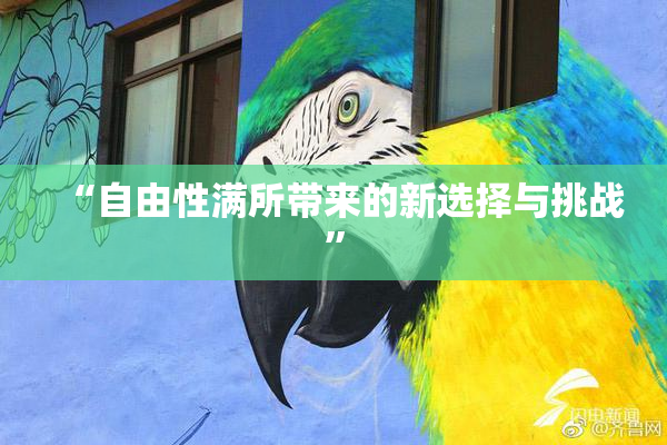 “自由性满所带来的新选择与挑战”