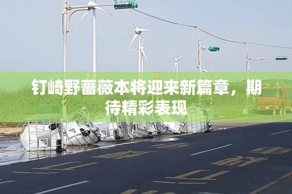 钉崎野蔷薇本将迎来新篇章，期待精彩表现