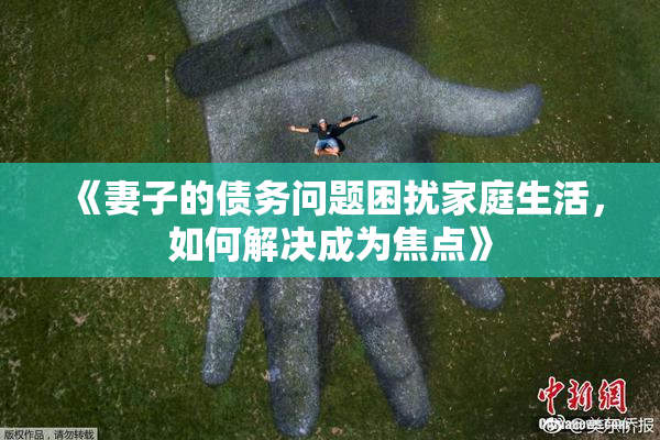 《妻子的债务问题困扰家庭生活，如何解决成为焦点》