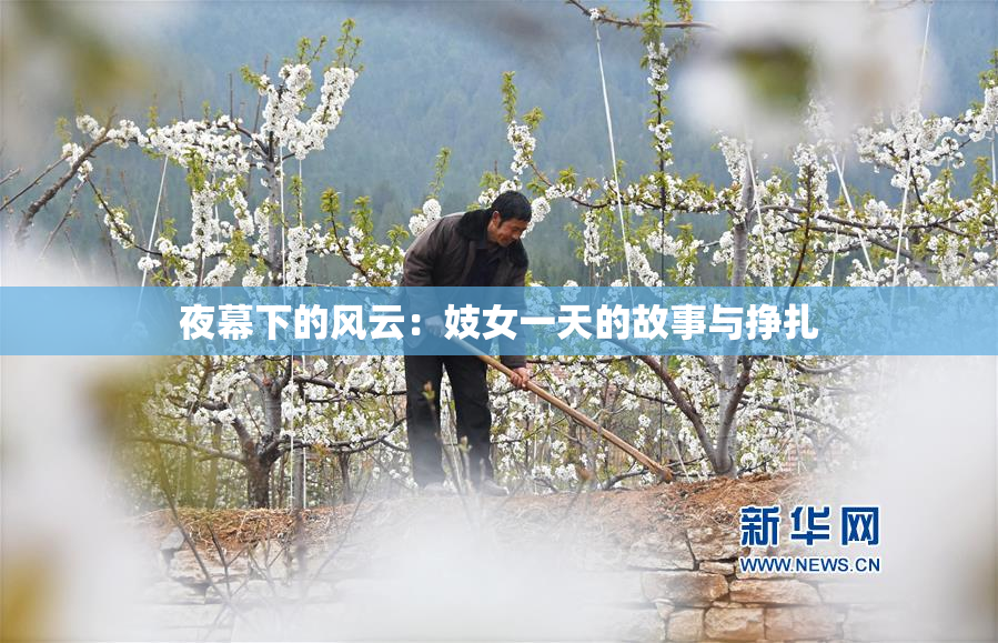 夜幕下的风云：妓女一天的故事与挣扎