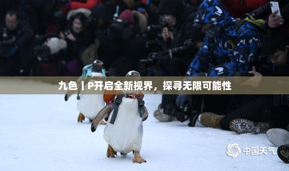 九色丨P开启全新视界，探寻无限可能性