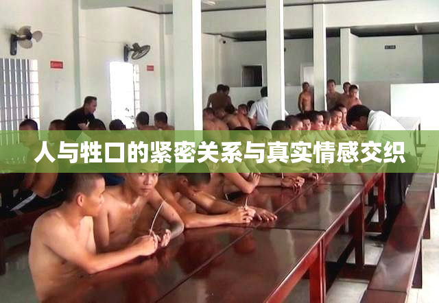 人与牲口的紧密关系与真实情感交织