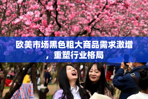 欧美市场黑色粗大商品需求激增，重塑行业格局