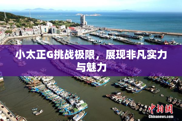 小太正G挑战极限，展现非凡实力与魅力