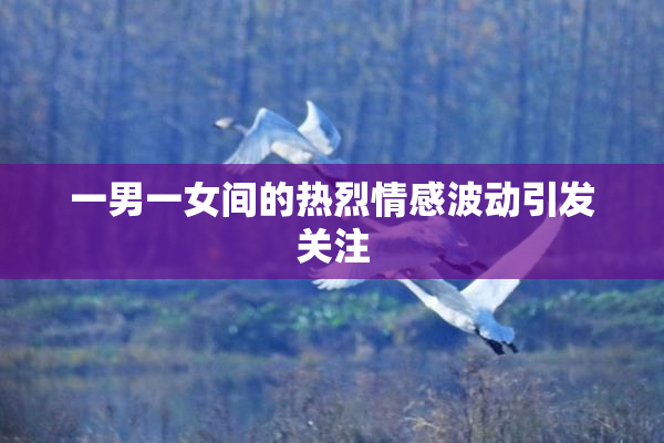 一男一女间的热烈情感波动引发关注