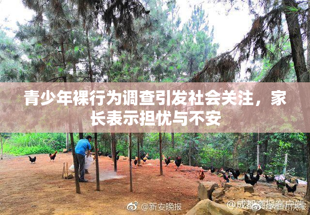 青少年裸行为调查引发社会关注，家长表示担忧与不安