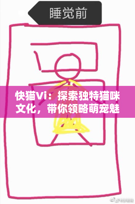 快猫Vi：探索独特猫咪文化，带你领略萌宠魅力