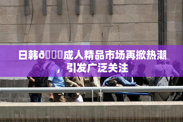 日韩🔞成人精品市场再掀热潮，引发广泛关注