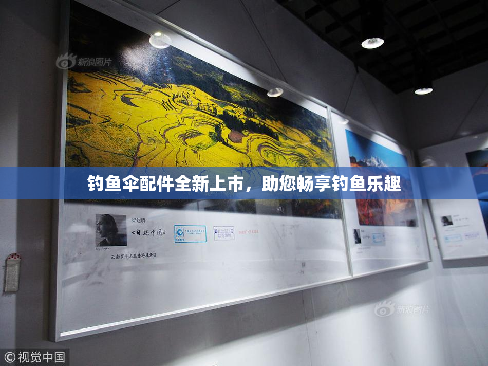 钓鱼伞配件全新上市，助您畅享钓鱼乐趣