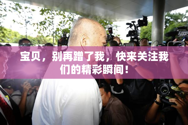 宝贝，别再蹭了我，快来关注我们的精彩瞬间！