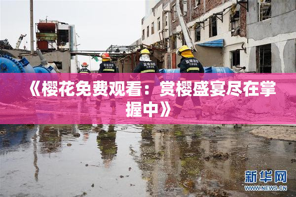 《樱花免费观看：赏樱盛宴尽在掌握中》