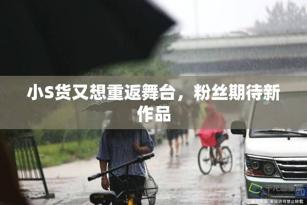 小S货又想重返舞台，粉丝期待新作品