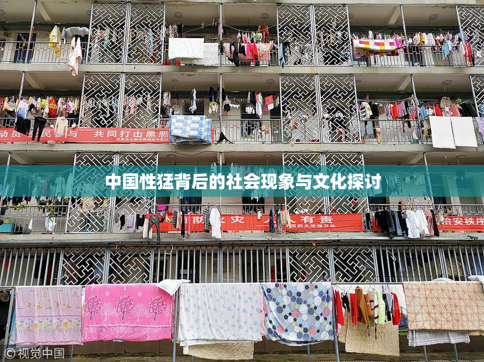 中国性猛背后的社会现象与文化探讨