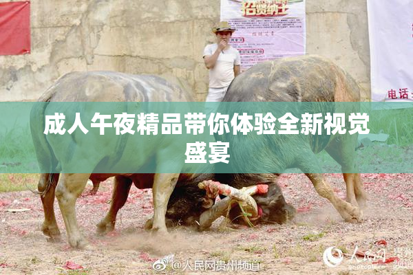 成人午夜精品带你体验全新视觉盛宴