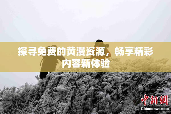 探寻免费的黄漫资源，畅享精彩内容新体验