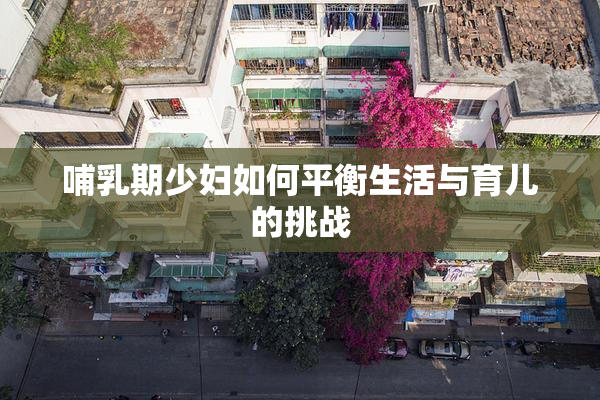 哺乳期少妇如何平衡生活与育儿的挑战