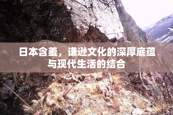 日本含羞，谦逊文化的深厚底蕴与现代生活的结合