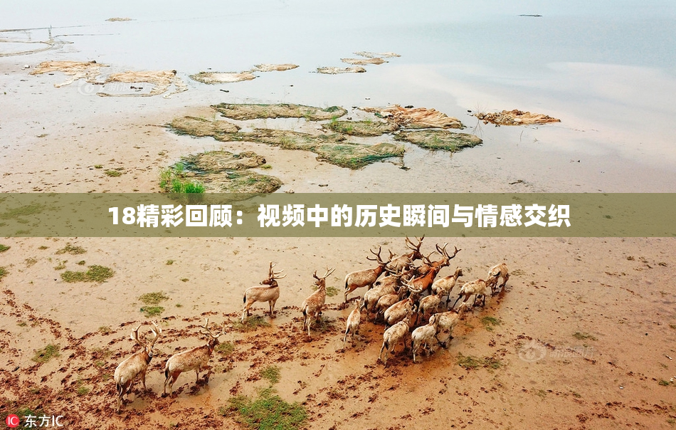 18精彩回顾：视频中的历史瞬间与情感交织