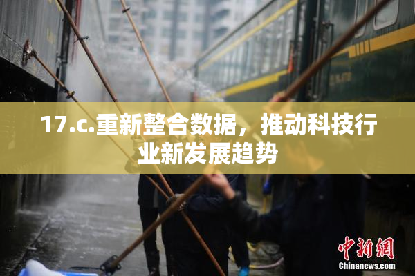17.c.重新整合数据，推动科技行业新发展趋势