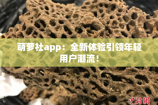 萌萝社app：全新体验引领年轻用户潮流！