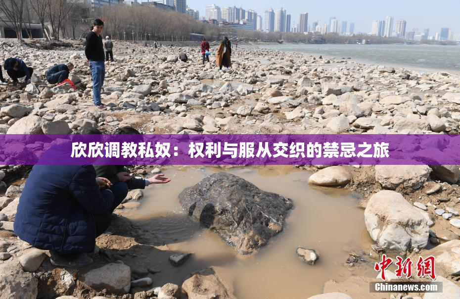 欣欣调教私奴：权利与服从交织的禁忌之旅