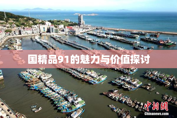 国精品91的魅力与价值探讨
