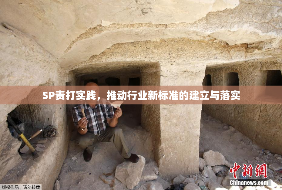 SP责打实践，推动行业新标准的建立与落实