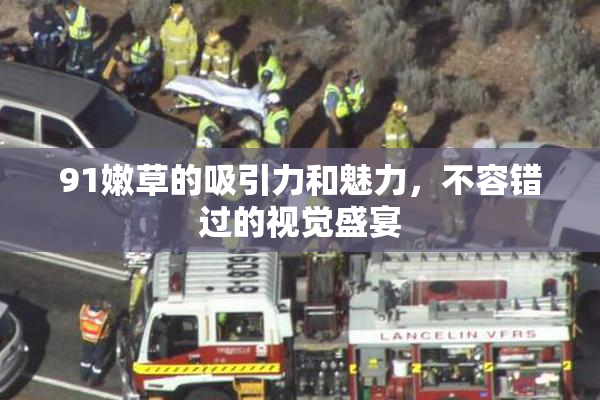91嫩草的吸引力和魅力，不容错过的视觉盛宴