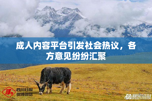 成人内容平台引发社会热议，各方意见纷纷汇聚