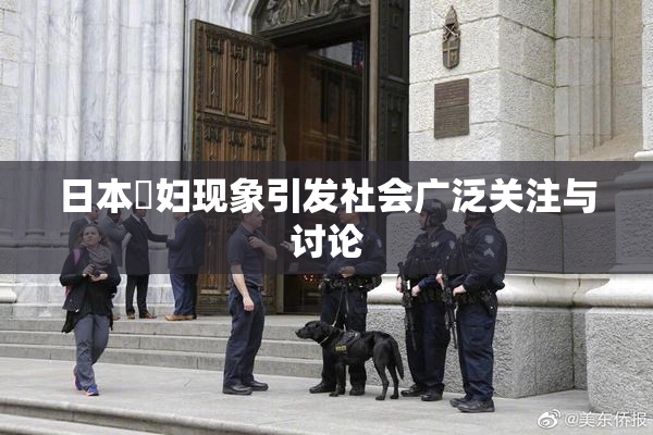 日本婬妇现象引发社会广泛关注与讨论
