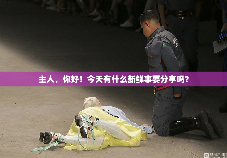 主人，你好！今天有什么新鲜事要分享吗？